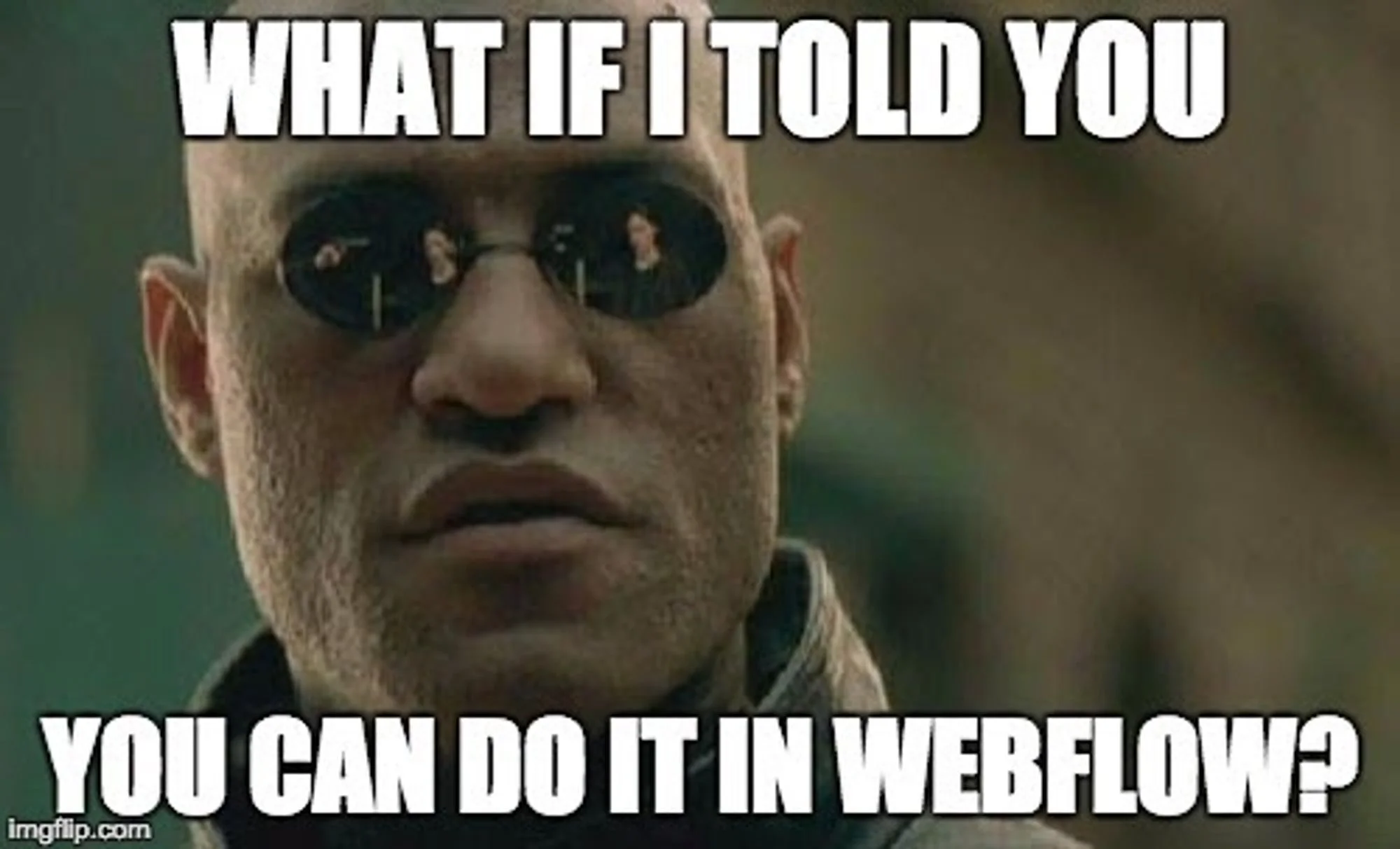 Do everything in Webflow, From SEO to custom CMS.