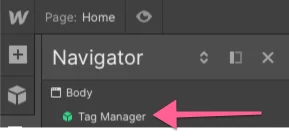 Tag Manager Webflow Component