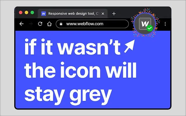 Webflow Checker Extension