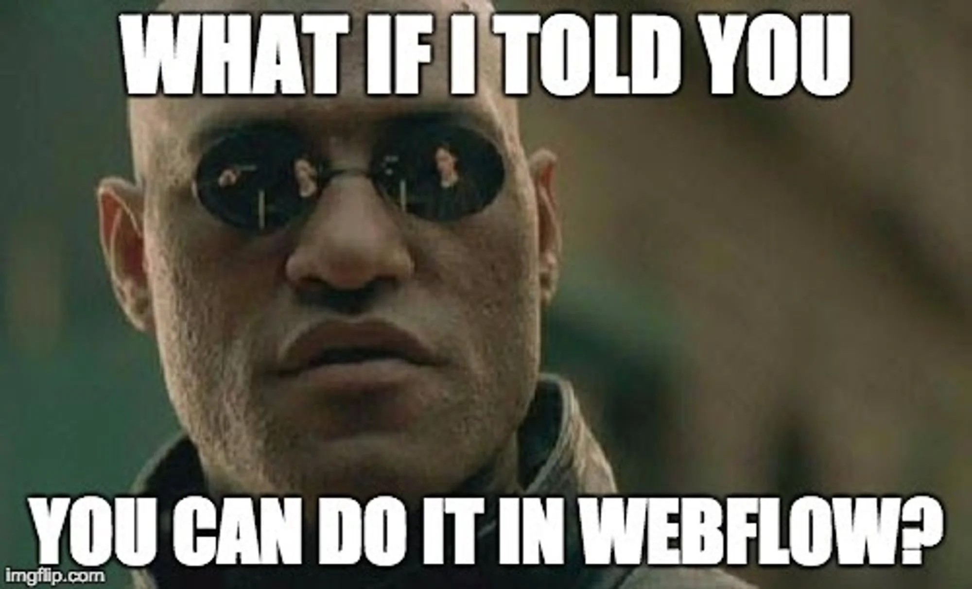 Do everything in Webflow, From SEO to custom CMS.